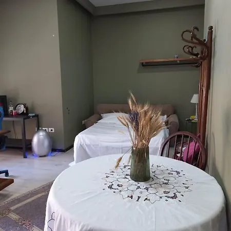 Guest house Penthouse & Aparts